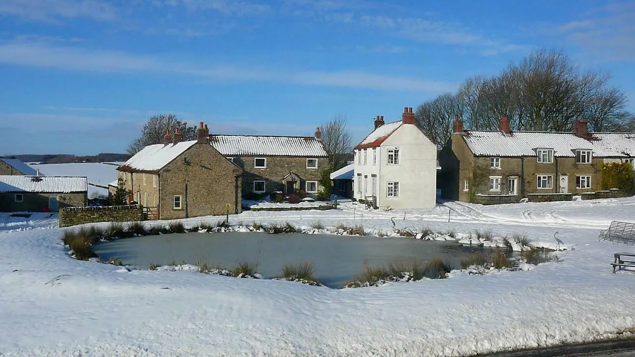 Bed & Breakfast Swan Cottage Newton-on-Rawcliffe